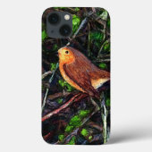 Robin Tweet tweet Case-Mate iPhone Hülle (Rückseite)