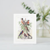 Robin und Bluebird Postkarte (Stehend Vorderseite)