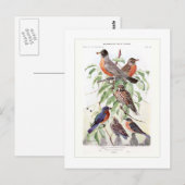 Robin und Bluebird Postkarte (Vorne/Hinten)
