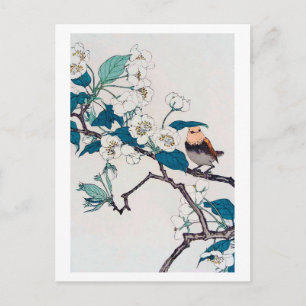 Robin und Cherry Blossoms, Imao Keinen Postkarte