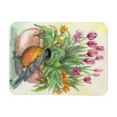 Robin und Tulips Magnet (Horizontal)