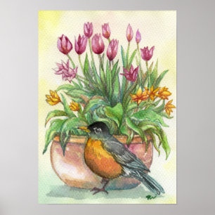 Robin und Tulips Poster