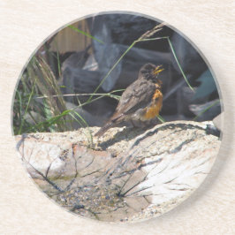 Robin-Untersetzer Getränkeuntersetzer