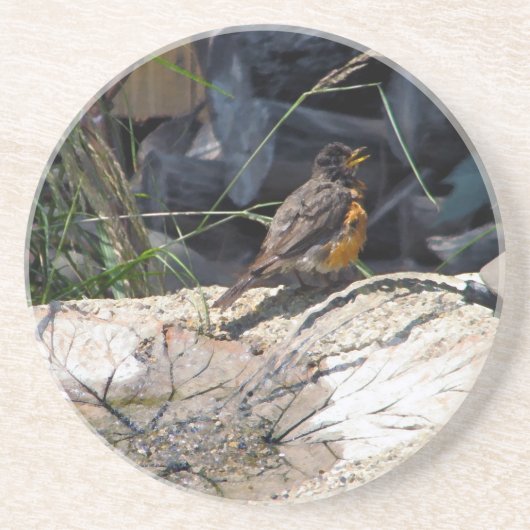 Robin-Untersetzer Getränkeuntersetzer (Vorne)