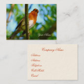 ROBIN VISITENKARTE (Vorne/Hinten)