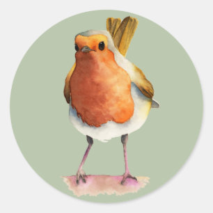 Robin-Vogel-Aquarell-Malerei Runder Aufkleber