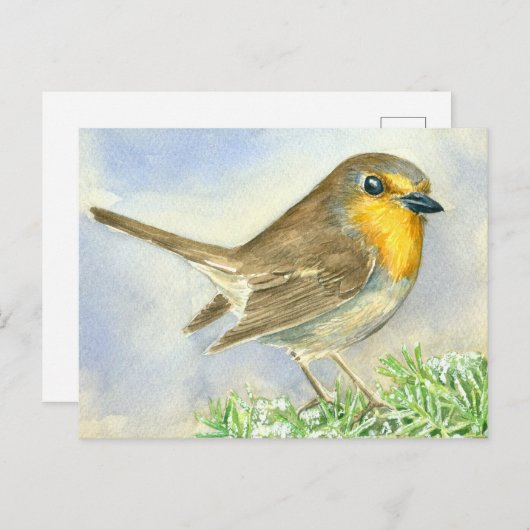 Robin-Vogel auf einer mattierten Wachposten Postkarte (Vorne/Hinten)