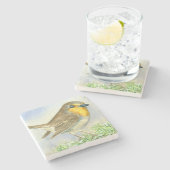 Robin-Vogel auf einer mattierten Wachposten Steinuntersetzer (Seitenansicht)