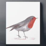 Robin-Vogel Fotoplatte<br><div class="desc">Robin-Vogel. Robin Aquarellmalerei. Vogelkunst. Poster; Tasse; Tasse. Wildnis.</div>