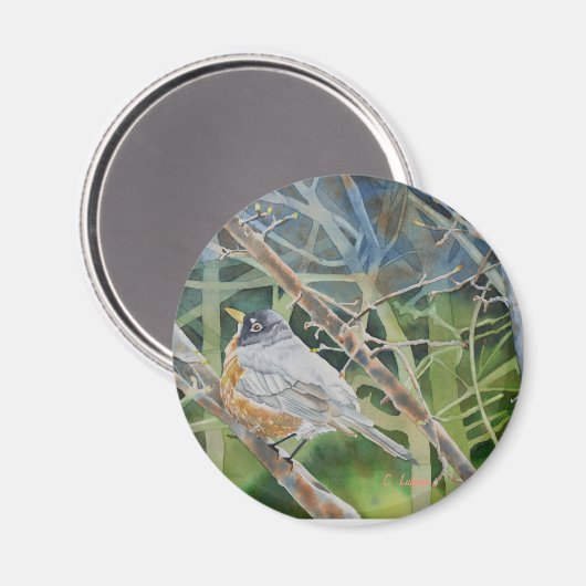 Robin-Vogel in Zweigen auf einem Baum Magnet (Vorderseite/Rückseite)
