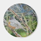 Robin-Vogel in Zweigen auf einem Baum Magnet (Vorne)