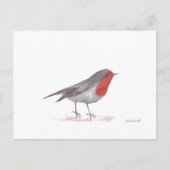 Robin-Vogel Postkarte (Vorderseite)