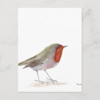 Robin-Vogel