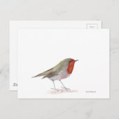 Robin-Vogel Postkarte (Vorne/Hinten)