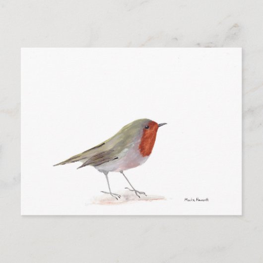 Robin-Vogel Postkarte (Vorderseite)