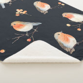 Robin-Vögel und Beerenrowan auf trockenen Zweigen, Sherpadecke (3/4)