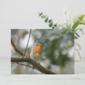 Robin Voice Nature Fotokarte (Stehend Vorderseite)