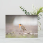 Robin Voice Nature Fotokarte (Stehend Vorderseite)
