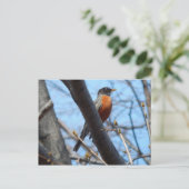 Robin vom Mystic River Postkarte (Stehend Vorderseite)