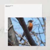 Robin vom Mystic River Postkarte (Vorne/Hinten)