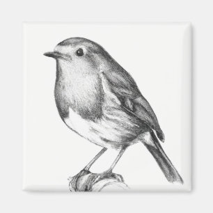 Robin Weihnachten Magnet