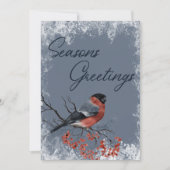 Robin Winter Birds Business Weihnachtskarte (Vorderseite)