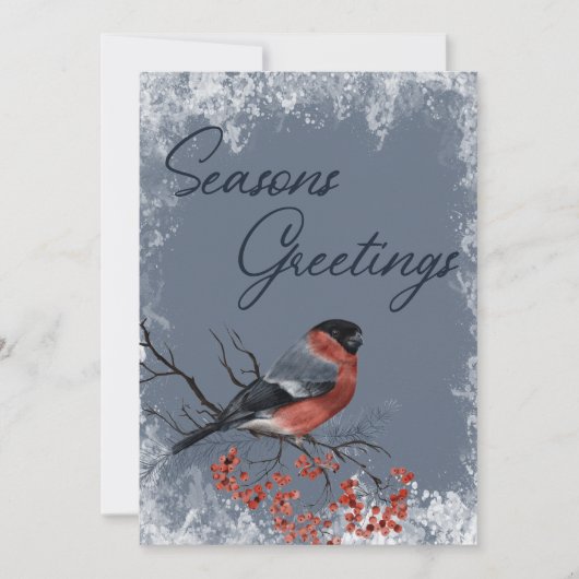 Robin Winter Birds Business Weihnachtskarte (Vorderseite)