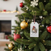 Robin Winter Delight, Brauch Geschenkanhänger