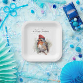 Robin Winter Delight, Brauch Pappteller (Party)