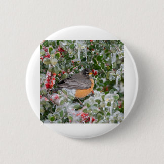Robin zu Weihnachten Button