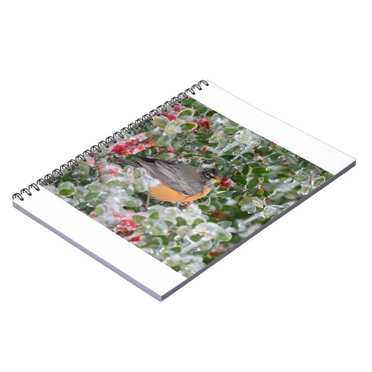 Robin zu Weihnachten Notizblock (Linke Seite)