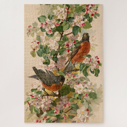 Robins 1896 puzzle (Vertikal)