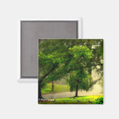 Robins auf dem Rasenmagnet Magnet (Vorderseite/Rückseite)