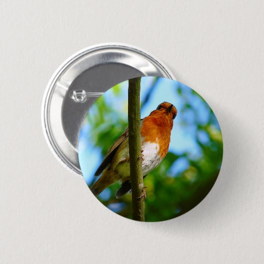 ROBINS BUTTON (Vorne & Hinten)