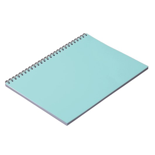 Robin's Egg Blue Notebook Notizblock (Linke Seite)