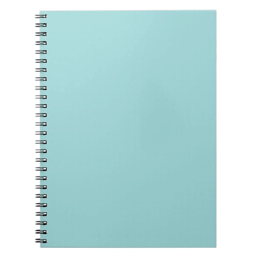 Robin's Egg Blue Notebook Notizblock (Vorderseite)