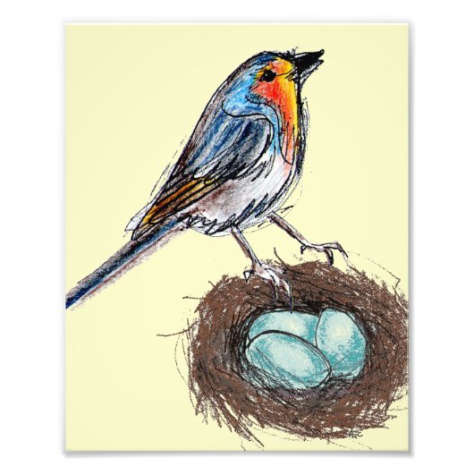 Robin's Egg Nest Print Art Robin Bird 8x10 Fotodruck (Vorne)