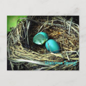 Robin's Egg Nest Spring Postkarte (Vorderseite)