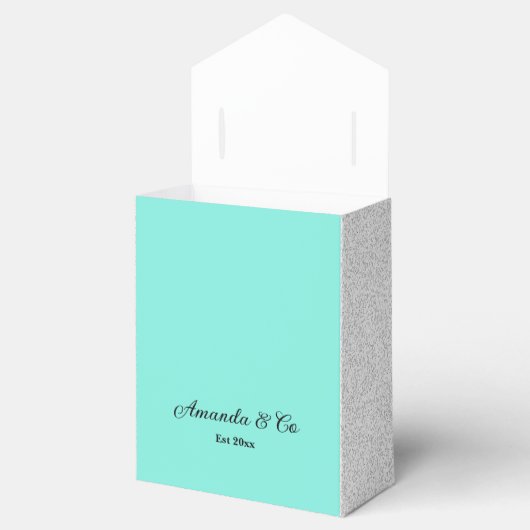 Robin's Egg Purse Bow Bride & Co Geschenkschachtel (Geöffnet)