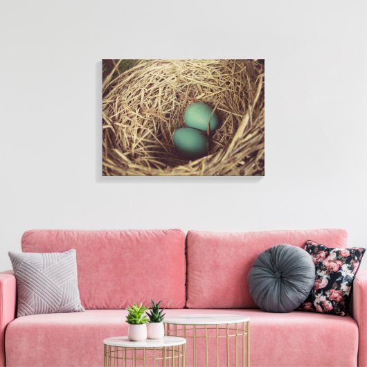 Robins Eggs in Nest Leinwanddruck (Insitu (Wohnzimmer))