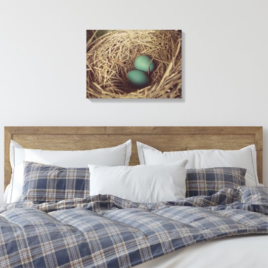 Robins Eggs in Nest Leinwanddruck (Insitu (Schlafzimmer))