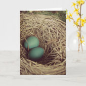 Robins Eggs Osterkarte Karte (Gelbe Blume)