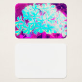 Robin's Ei Blue Peppermint Drehung Phlox Blume (Vorne & Hinten)