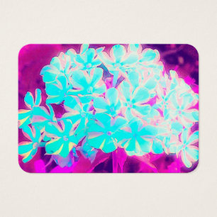 Robin's Ei Blue Peppermint Drehung Phlox Blume