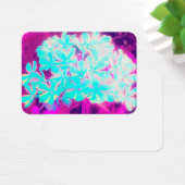 Robin's Ei Blue Peppermint Drehung Phlox Blume (Schreibtisch)