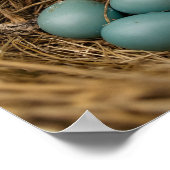 Robins-Eier Poster (Ecke)