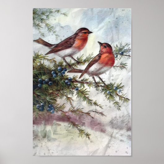 Robins im Winter Poster (Vorne)