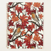 Robins in maple tree on off white planer (Vorderseite)