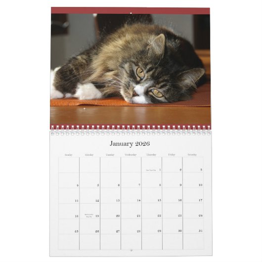 Robins Kalender (Jan 2026)