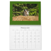 Robins Kalender (Feb 2026)